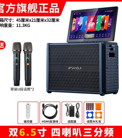 山水H2便携式大功率音响户外音箱卡拉OK家庭KTV套装卡拉OK播放器广场舞音响